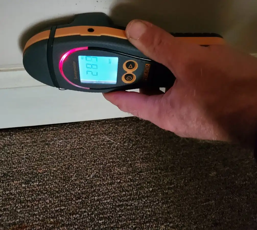 Moisture detection at baseboard during Sewage Cleanup & Sanitation in Garden City